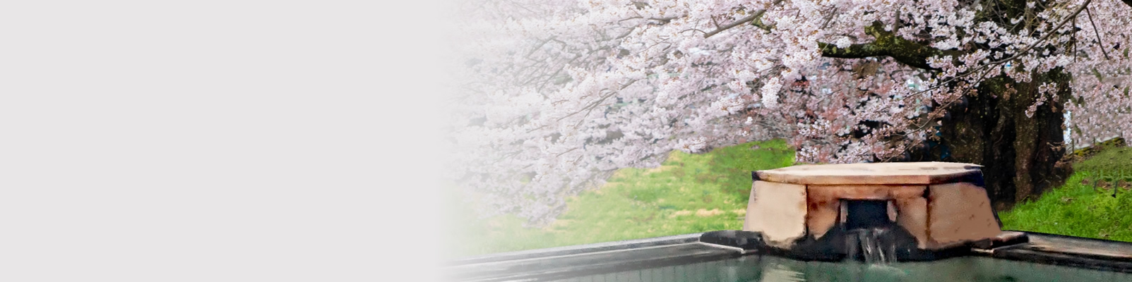 日本介護トラベルサービス