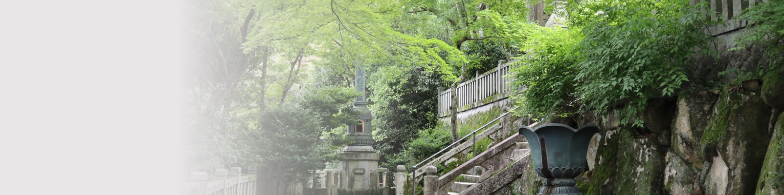 日本介護トラベルサービス